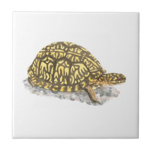 oostelijke box schildpad tegeltje