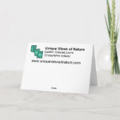 Oostelijke Collared Hagedis Feestdagen Kaart (Achterkant)