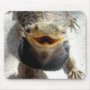 Oostelijke draak - Pogona barbata Muismat