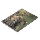 Oostelijke grijze eekhoorn, of grijze eekhoorn notitieboek (Linkerzijde)