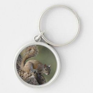 Oostelijke grijze eekhoorn, of grijze eekhoorn sleutelhanger