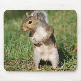 oostelijke grijze eekhoornmousepad muismat