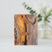Oostelijke Hagedis Newt Briefkaart (Staand voorkant)