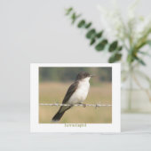 Oostelijke Kingbird Briefkaart (Staand voorkant)