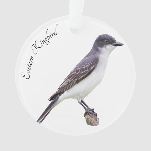 Oostelijke Kingbird Ornament (voorkant)