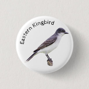 Oostelijke Kingbird Ronde Button 3,2 Cm