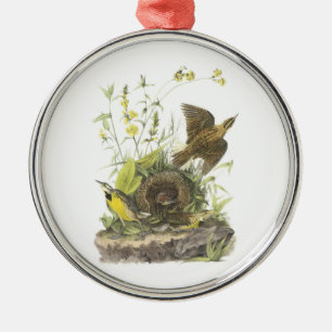 Oostelijke Meadowlark door Audubon Metalen Ornament