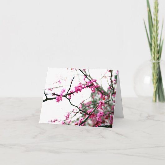 Oostelijke Redbud Kaart (Voorkant)