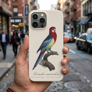 Oostelijke rosella of Platycercus eximius parkiet iPhone 13 Pro Max Hoesje