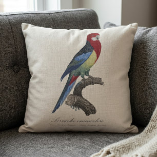 Oostelijke rosella of Platycercus eximius parkiet Kussen