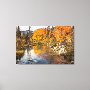 Oostelijke Sierra, Bishop Creek, uitlaat Californi Canvas Afdruk