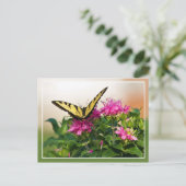 Oostelijke tijger Swallowtail Butterfly Briefkaart (Staand voorkant)