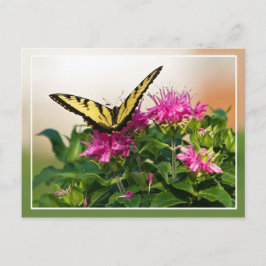 Oostelijke tijger Swallowtail Butterfly Briefkaart