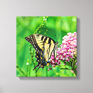 Oostelijke tijger Swallowtail Butterfly Canvas Afdruk