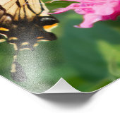 Oostelijke tijger Swallowtail Butterfly Foto Afdruk (Hoek)