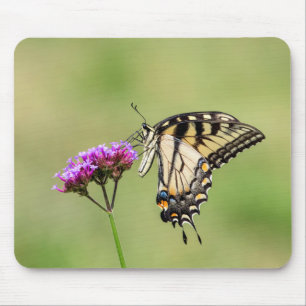 Oostelijke tijger Swallowtail Butterfly Muismat