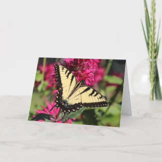 Oostelijke Tijger Swallowtail op bijenbalsem Feestdagen Kaart