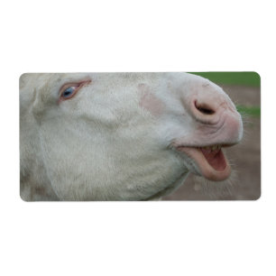 Oostenrijk-Hongaarse Witte Donkey Etiket