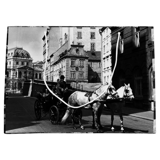 Oostenrijk: Wenen Dreimaderlhaus Fiaker Groot Cadeauzakje (Voorkant)