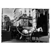 Oostenrijk: Wenen Dreimaderlhaus Fiaker Groot Cadeauzakje (Achterkant)