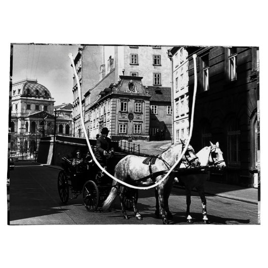 Oostenrijk: Wenen Dreimaderlhaus Fiaker Groot Cadeauzakje (Achterkant)