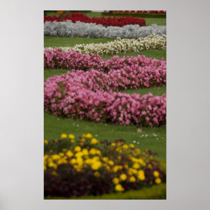 Oostenrijk, Wenen. Maria Theresa's barok Poster