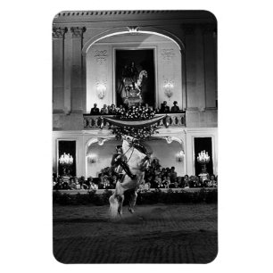  Oostenrijk Wenen Spaans Courbette Magneet