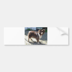 oostenrijkse herder rode tri houdt van pic bumpersticker
