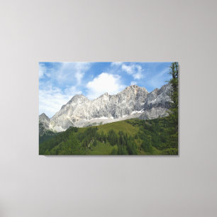 Oostenrijkse slangen canvas afdruk