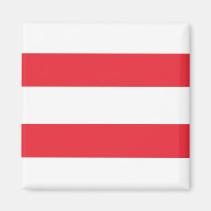Oostenrijkse vlag magneet