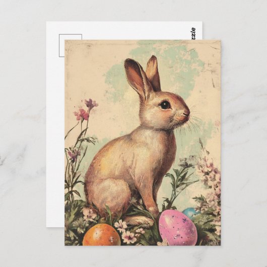 ooster briefkaart (Voorkant / Achterkant)