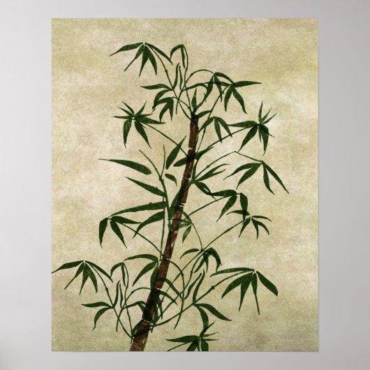 oosterse bamboe 1 poster (Voorkant)