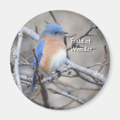 Oosterse blauwvogel-magneet magneet (Voorkant)