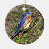 Oosterse Bluebird Ornament (Voorkant)