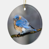 Oosterse Bluebird Ornament (Links)
