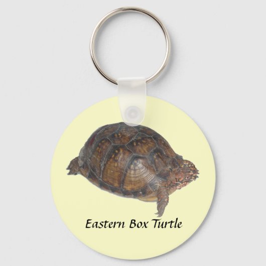 Oosterse box Turtle Sleutelhanger (Voorkant)