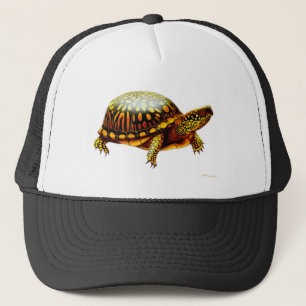 Oosterse boxschildpad trucker pet