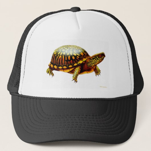 Oosterse boxschildpad trucker pet (Voorkant)