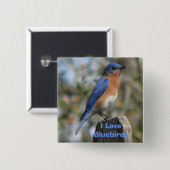 Oosterse Button van Bluebird Male (Voorkant /achterkant)