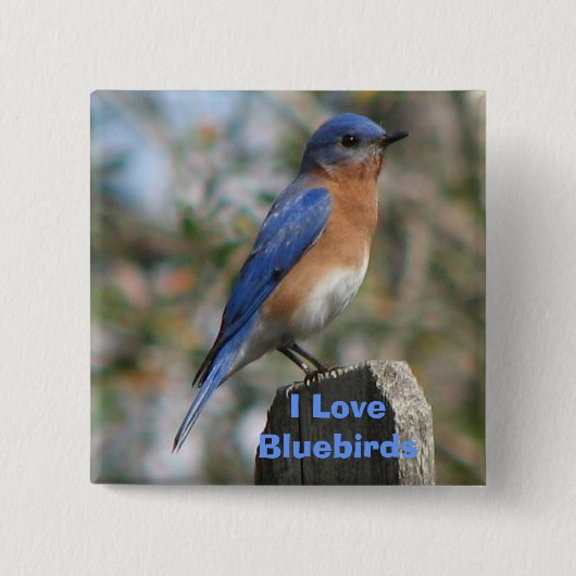 Oosterse Button van Bluebird Male (Voorkant)