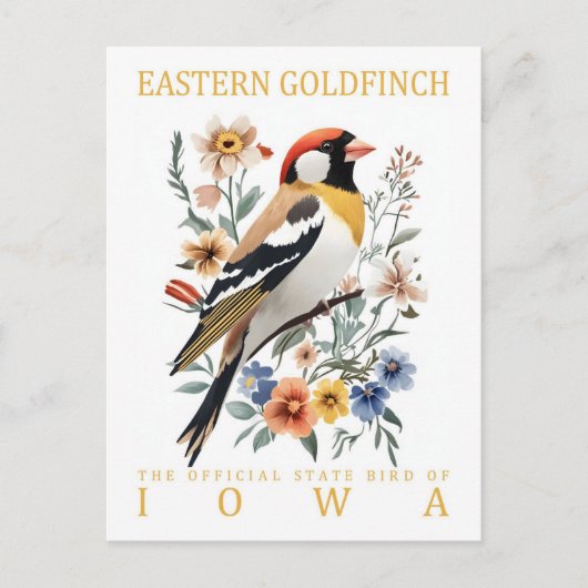 Oosterse goudvink vogel van Iowa USA Reizen Briefkaart (Voorkant)
