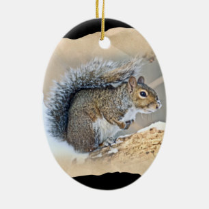 Oosterse grijze eekhoorn - Sciurus carolinensis Keramisch Ornament