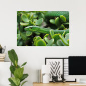 Oosterse Groene Mamba (Dendroaspis Angusticeps) Poster (Thuiskantoor)