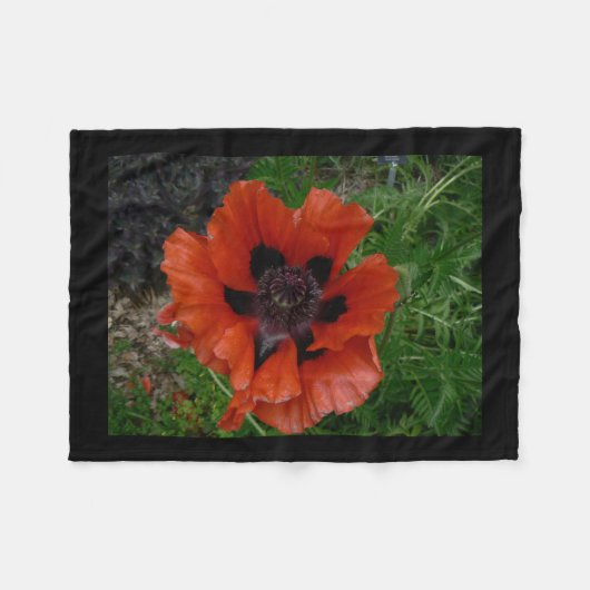Oosterse klaproos fleece deken (Voorkant (Horizontaal))