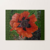 Oosterse klaproos legpuzzel (Horizontaal)