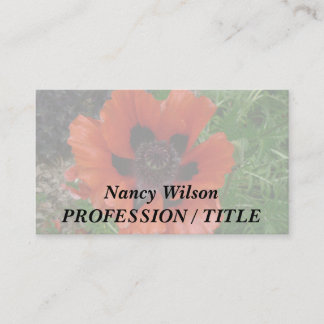 Oosterse klaproos  visitekaartje