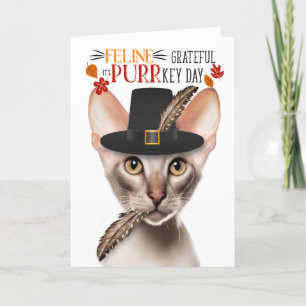 Oosterse Korthaar Cat dankbaar voor PURRkey Day Feestdagen Kaart