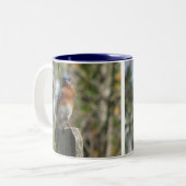 Oosterse Mok van Blauwvogels (Voorkant links)