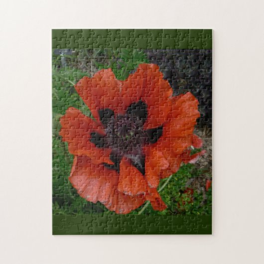 Oosterse papaver legpuzzel (Verticaal)