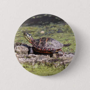Oosterse schildpad ronde button 5,7 cm